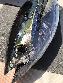 Amazon.co.jp: ネイチャーボーイズ Spin Rider Deep スピン